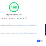 5 tuyệt chiêu tối ưu tốc độ wordpress đạt 100% Google Pagespeed Insights