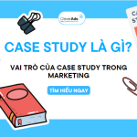 Case Study là gì? vai trò của Case Study trong Marketing