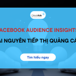 Facebook Audience Insight: Tài nguyên tiếp thị quảng cáo dành cho doanh nghiệp 