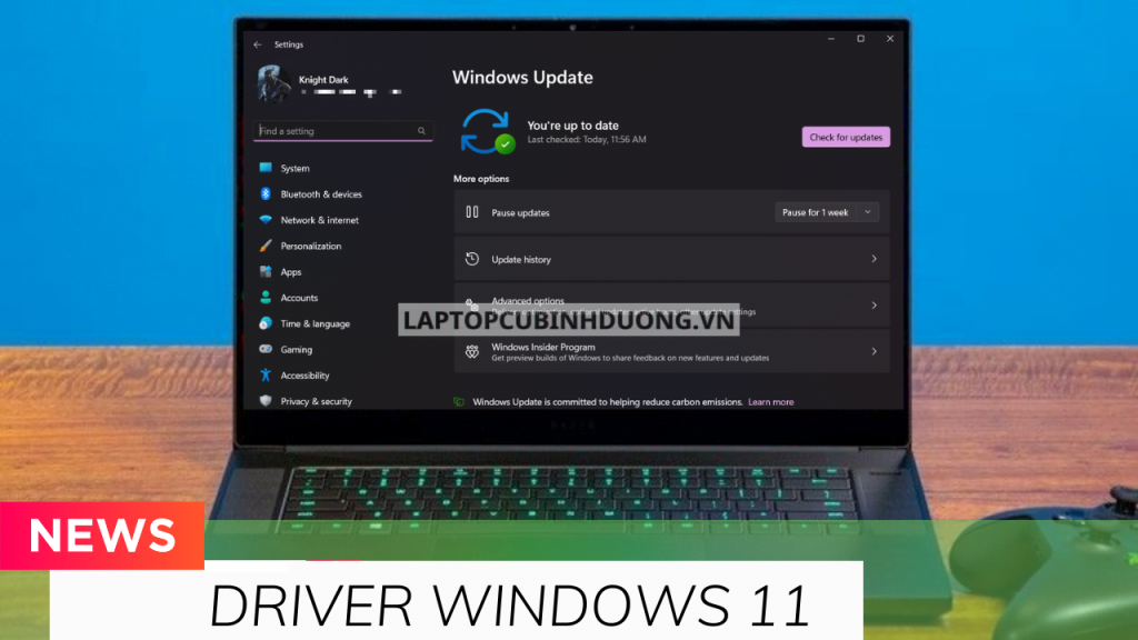 Hướng dẫn cập nhật driver cho Windows 11 đầy đủ, nhanh chóng