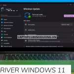 Hướng dẫn cập nhật driver cho Windows 11 đầy đủ, nhanh chóng