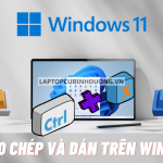 Hướng dẫn cắt, sao chép và dán file, hình ảnh trên Windows 11