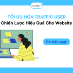 Tối ưu Traffic User & Chiến lược hiệu quả cho Website