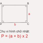 Công thức tính chu vi hình chữ nhật & bài tập thực hành