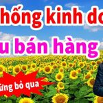 Giỏi xây dựng hệ thống kinh doanh thì không cần phải tìm KH