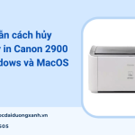 Hướng dẫn xóa lệnh máy in Canon 2900 nhanh chóng trên Windows và MacOS