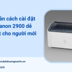 Hướng dẫn cài Driver máy in Canon 2900 trên máy tính chi tiết từ A-Z