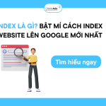 Index website Google: Chi tiết quy trình mới nhất