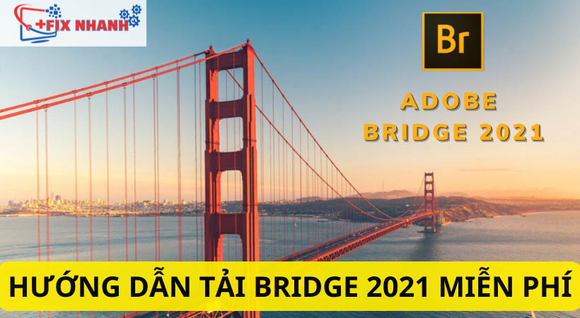 Tải Bridge 2021 – Hướng Dẫn Tải Miễn Phí Chi Tiết