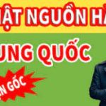 Học Cách Nhập Hàng Trung Quốc Giá Tận Gốc như thế nào?