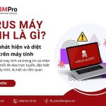 Virus máy tính là gì? Cách phát hiện và diệt virus trên máy tính