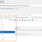 Đổi Font phần trăm sang px trong Theme Flatsome