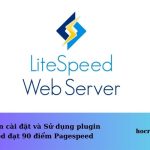 Hướng dẫn cài đặt plugin Litespeed + Perfmatters đạt 99 điểm Pagespeed