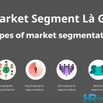 Market Segment Là Gì? Các Loại Phân Khúc Thị Trường Phổ Biến Nhất