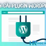 Plugin là gì? Hướng Dẫn Cài Đặt Plugin Trên WordPress