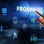 Proxy Là Gì? Hướng Dẫn Cài Đặt Free Proxy 2023