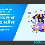 Seeding Là Gì? Cách Thực Hiện Seeding Trong Marketing