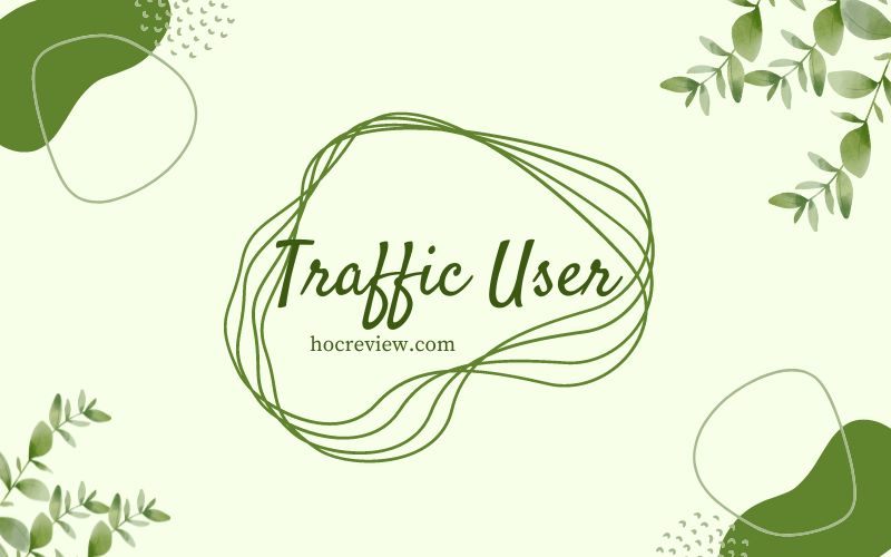 Mua Traffic User Thật: Dịch Vụ, Hướng dẫn chạy SEO top bền vững