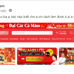 Cách làm banner top full width trong theme flatsome wordpress