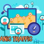 Organic Traffic Là Gì & Cách Đọc Chỉ Số Organic Traffic Trong SEO