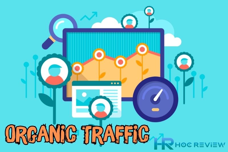 Organic Traffic Là Gì & Cách Đọc Chỉ Số Organic Traffic Trong SEO