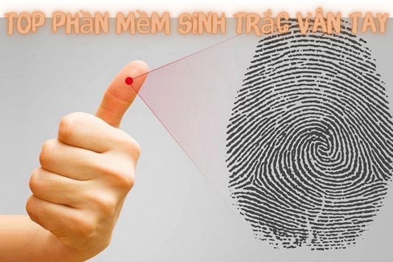 Top 7 Phần Mềm Sinh Trắc Vân Tay Miễn Phí Và Phổ Biến Nhất 2023