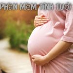 Top 7 Phần Mềm Tính Tuổi Thai – Miễn Phí Và Tốt Nhất 2023