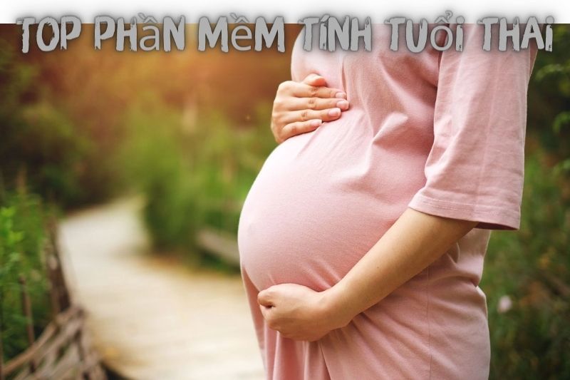 Top 7 Phần Mềm Tính Tuổi Thai – Miễn Phí Và Tốt Nhất 2023