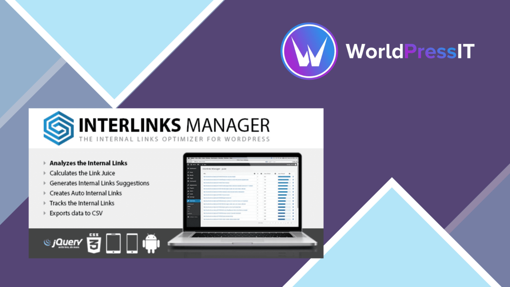 Review Plugin Interlinks Manager – Plugin SEO