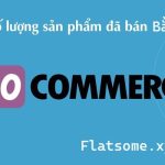 Custom số lượng sản phẩm đã bán bằng ACF trong Woocommerce wordpress