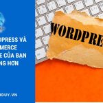 Tối ưu WordPress và WooCommerce giúp website của bạn nhẹ nhàng hơn